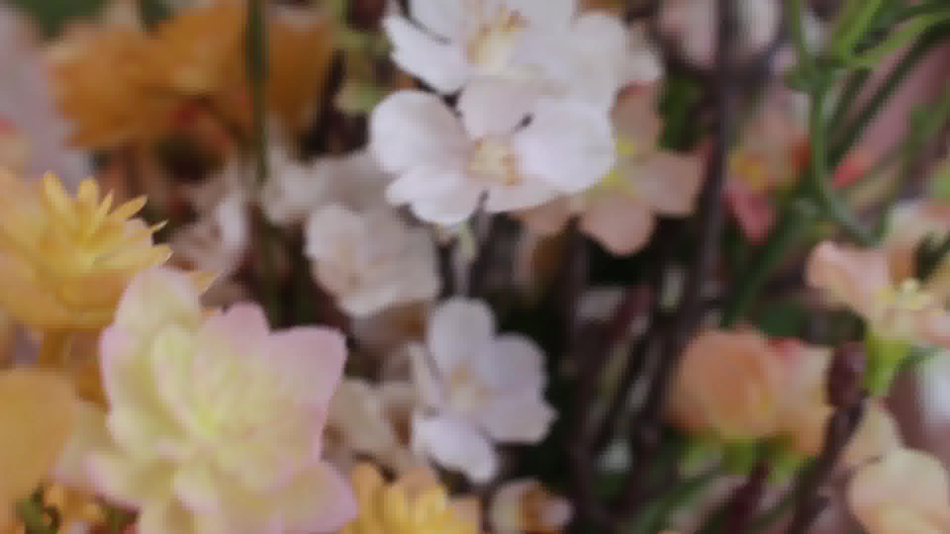 Intérprete LisaRelin Video 1