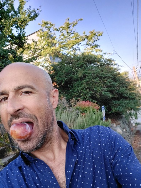 Utøver PedrosFiasco Bilde 8