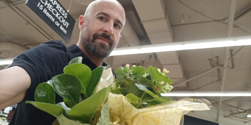 Utøver PedrosFiasco Bilde 1