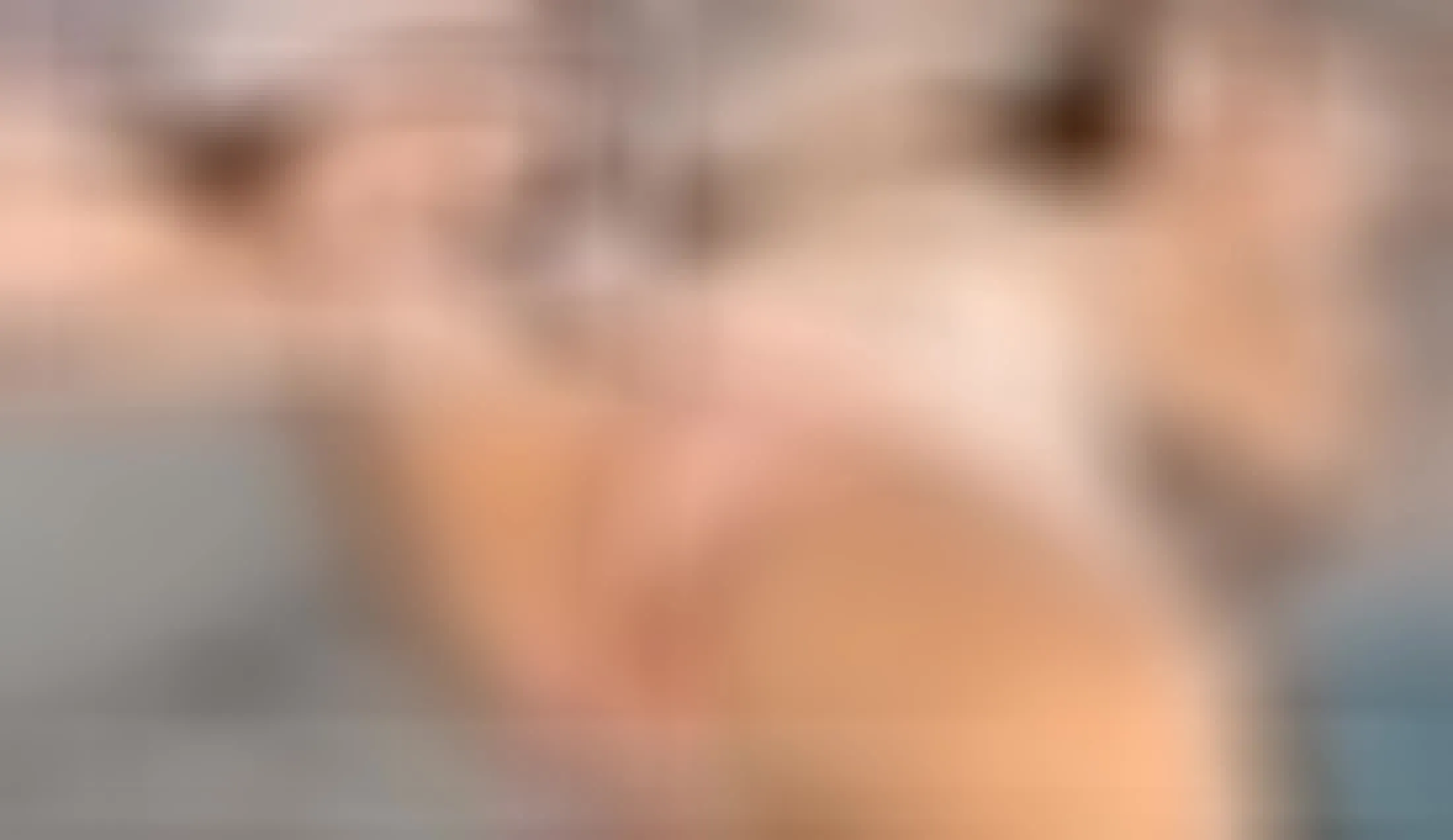 Darsteller ArianaWolff Video 1