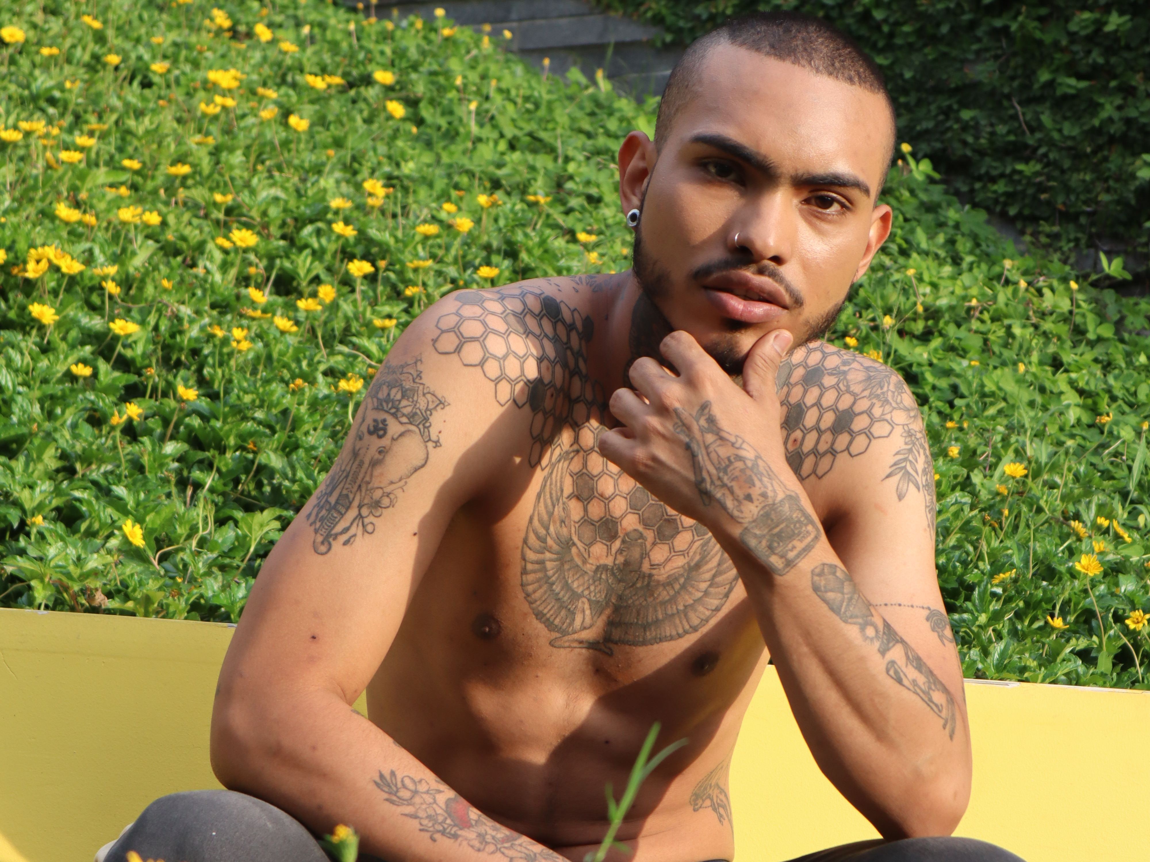 Imagen de perfil de modelo de cámara web de ZaynSmith