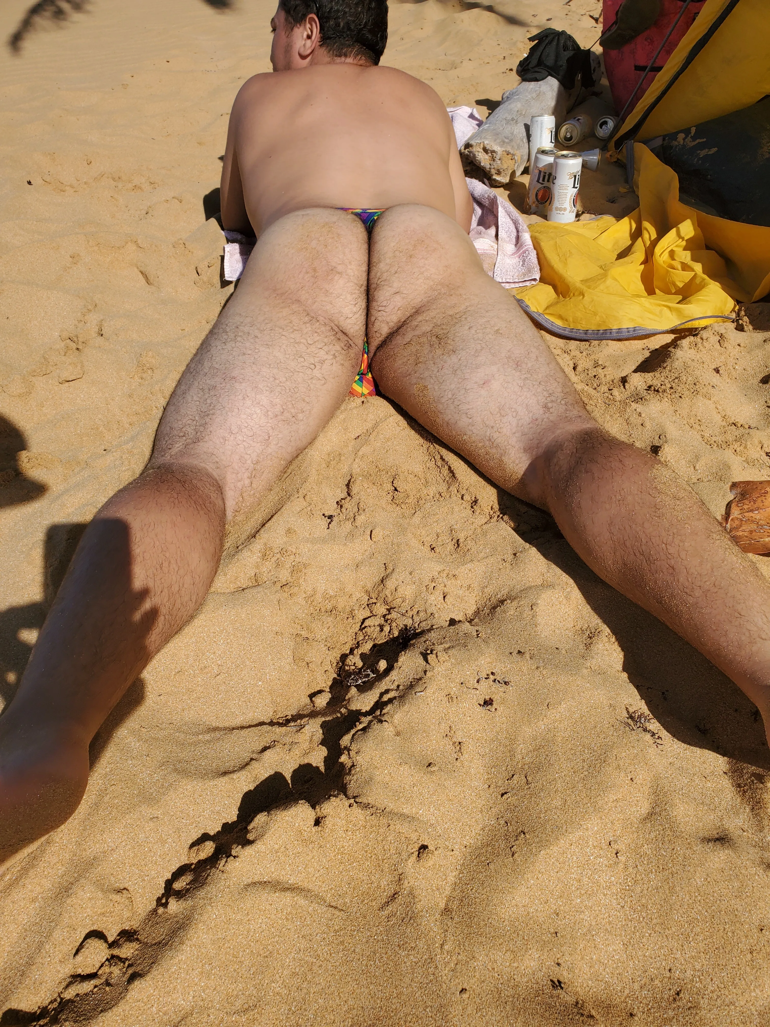 Interprete parrotclub69 Foto 8