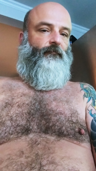 Artista bearpig018 Foto 3