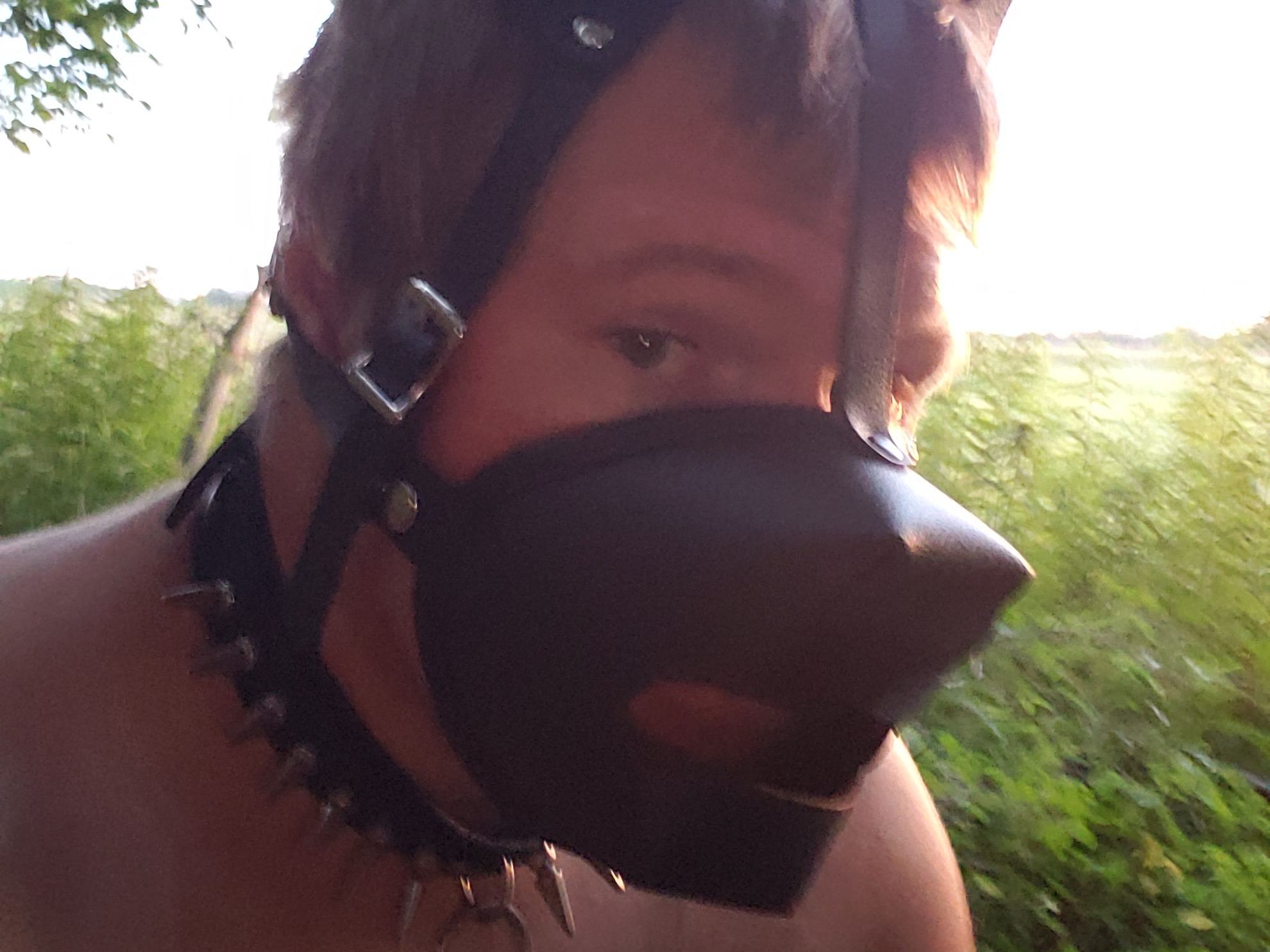 SeeSpikePlay Profilbild des Cam-Modells 