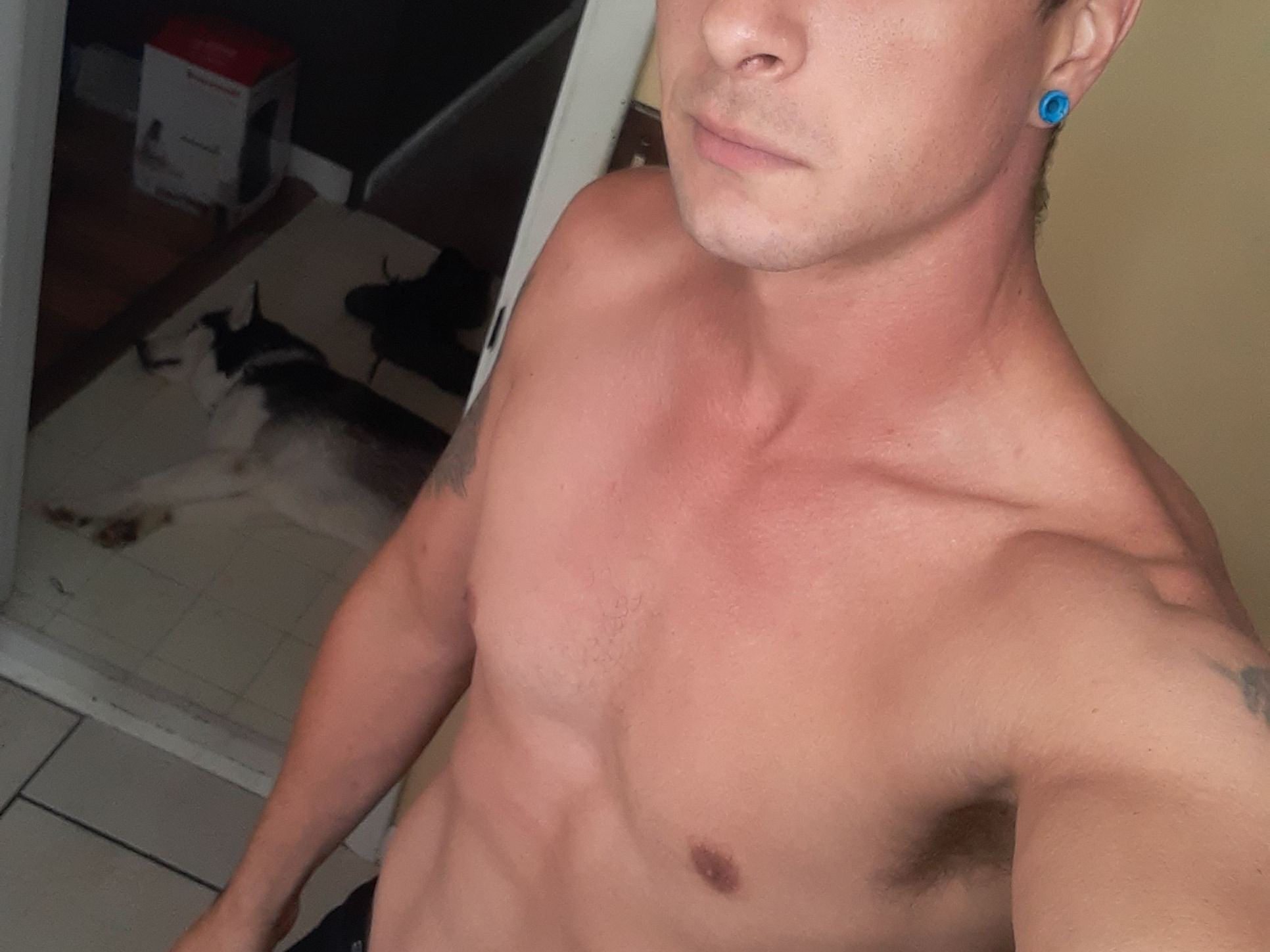 Panfintera Profilbild des Cam-Modells 