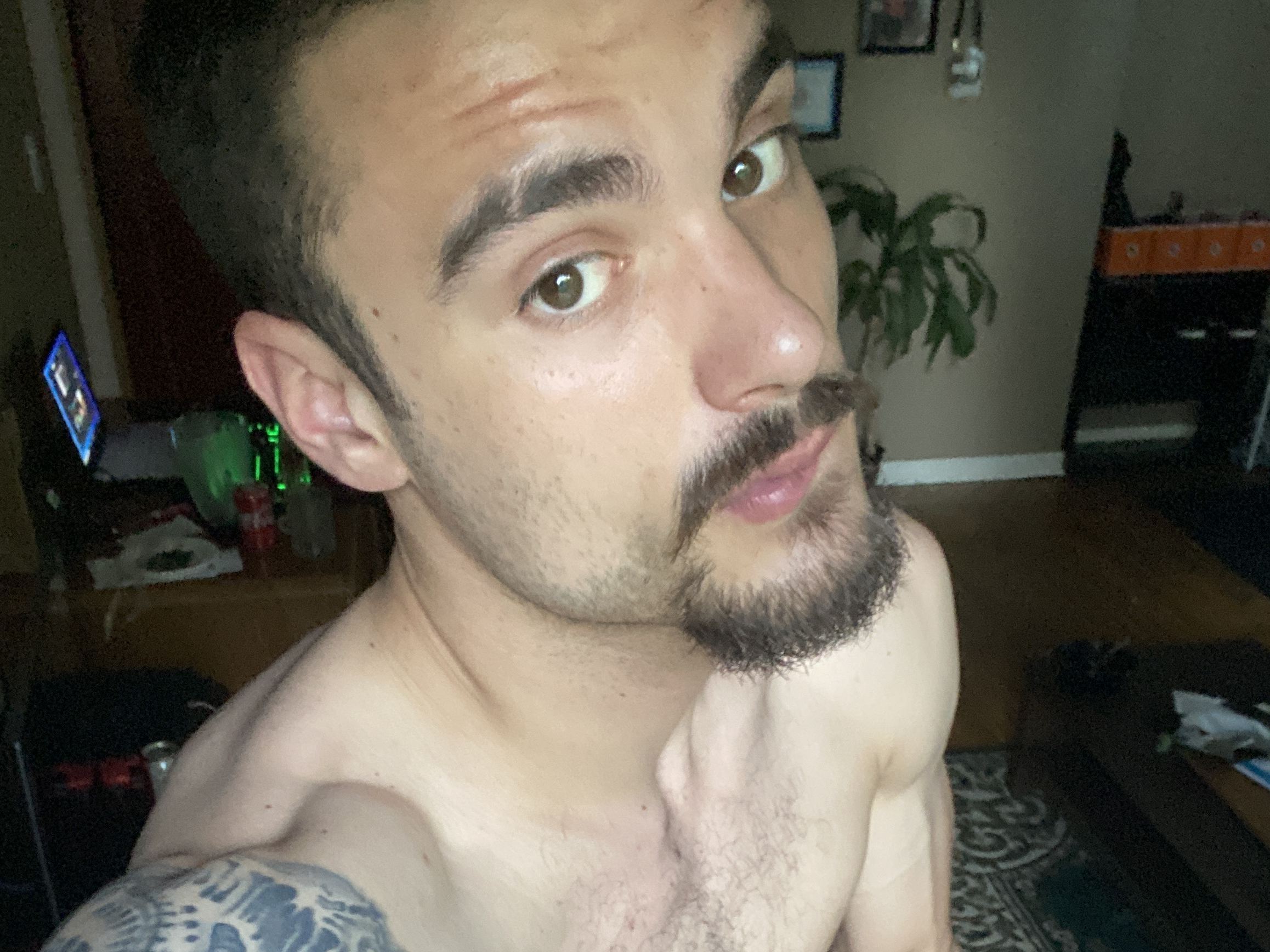 Pleasure_centre Profilbild des Cam-Modells 