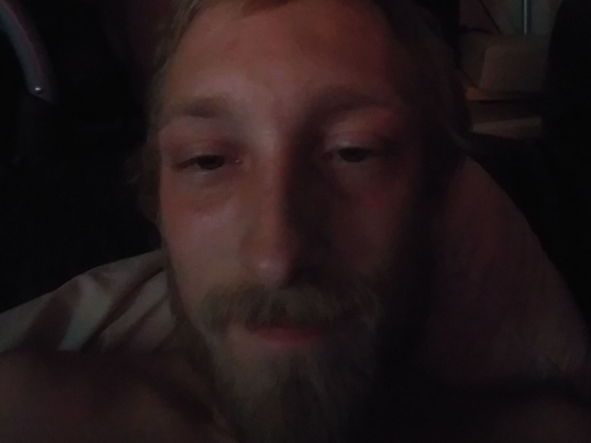 Dankman420 cam model profile picture 