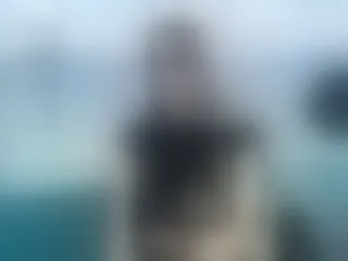 RoseDiamond18