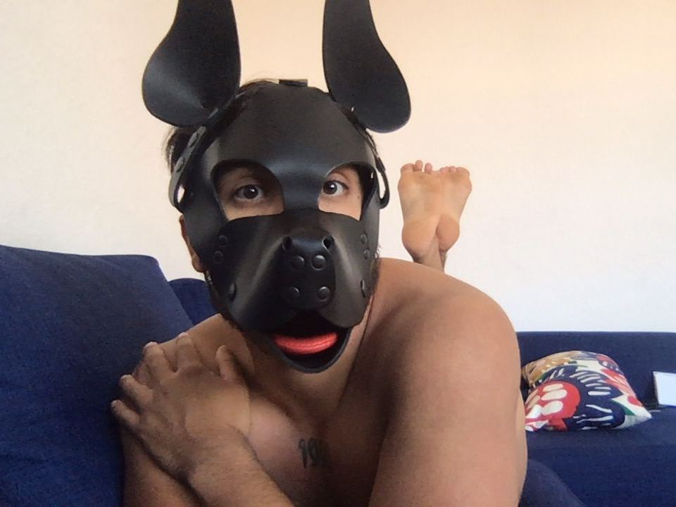 Foto de perfil de modelo de webcam de HairyOtter90 