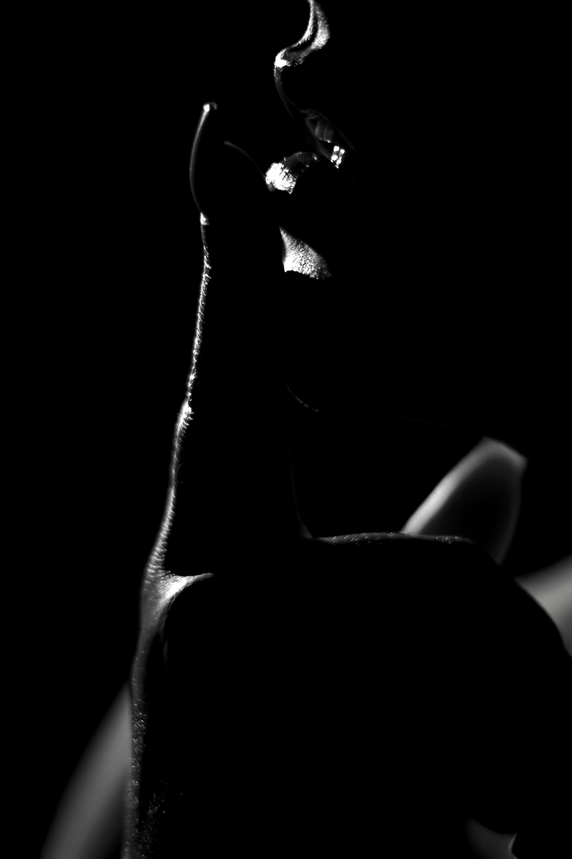 Artista Ambeer_Carterr Foto 10