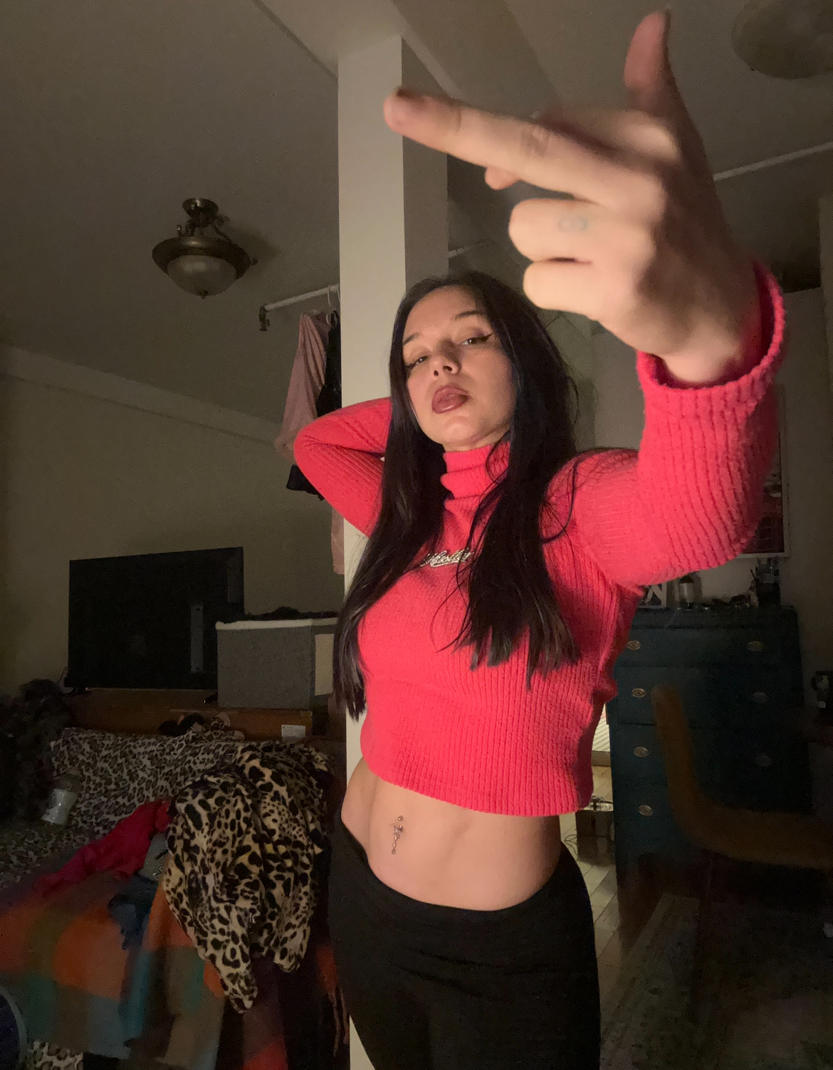 Artista AndromedaSupernova Foto 4