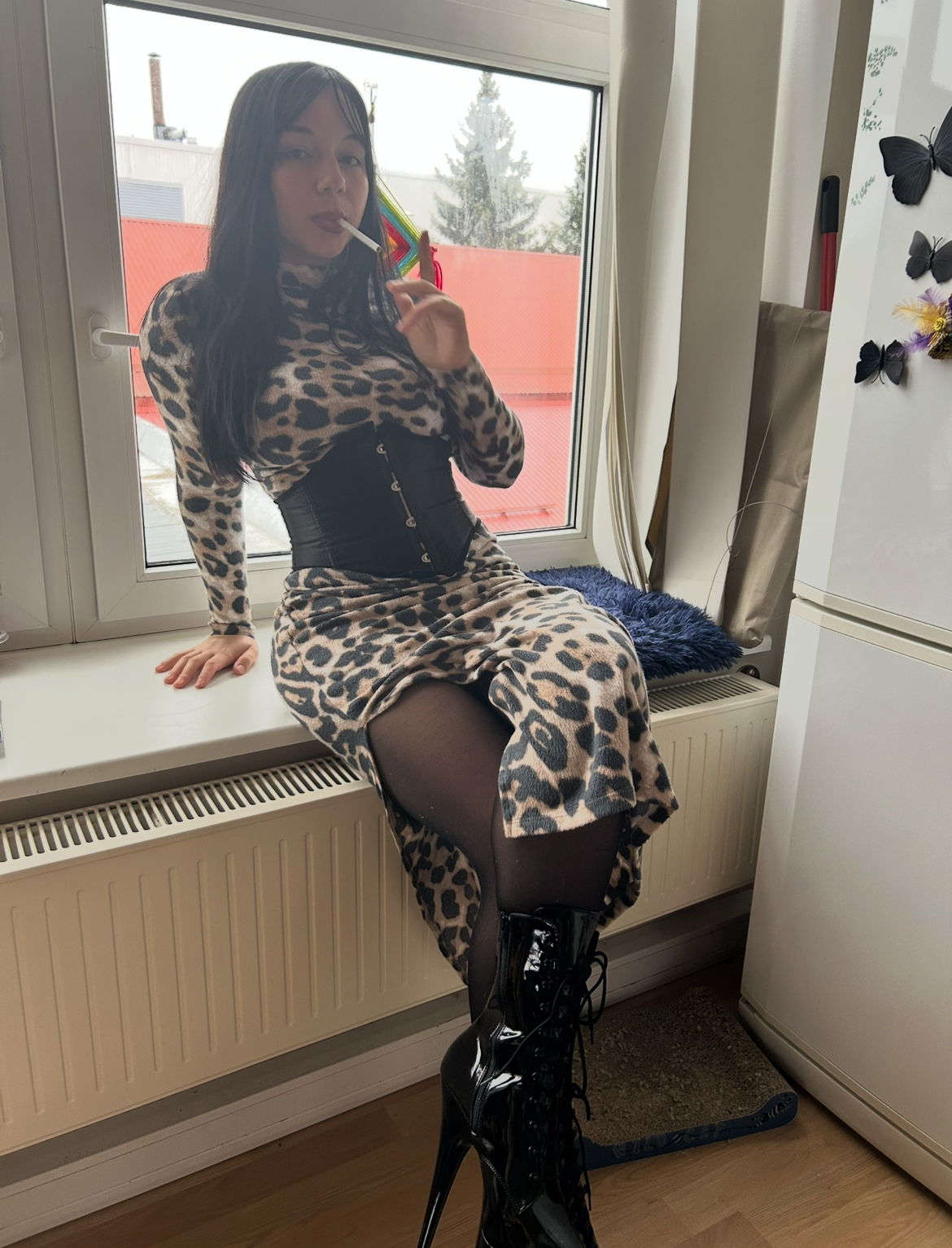 Artista AndromedaSupernova Foto 6