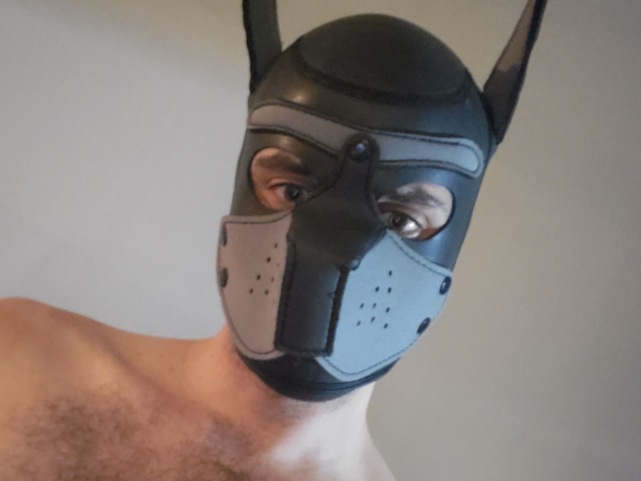 StuffedPup cam model profile picture 