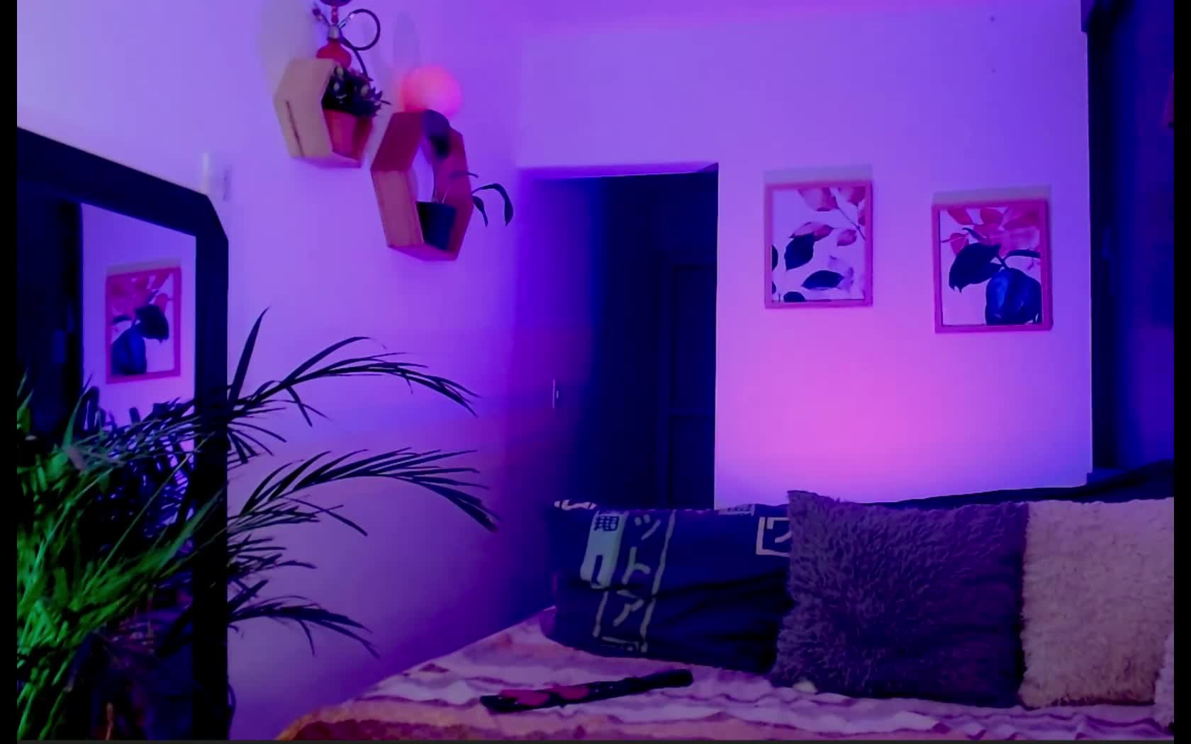 Artista HarmoonySteel Video 1