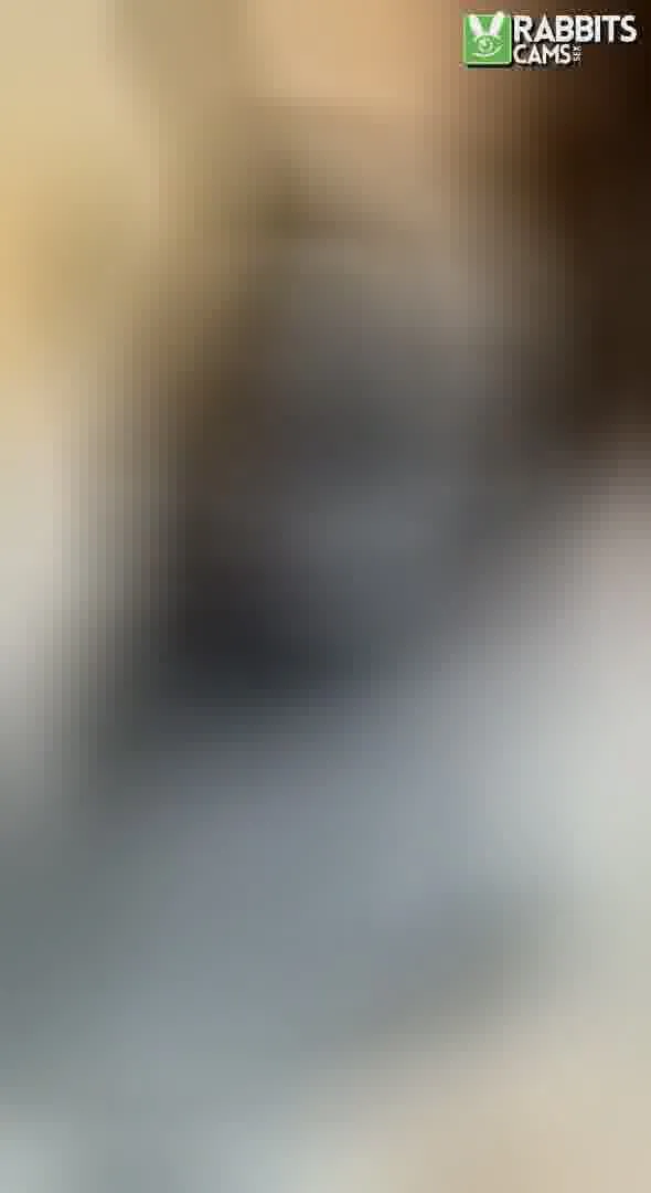 Performer lovelydolly22 Video 4
