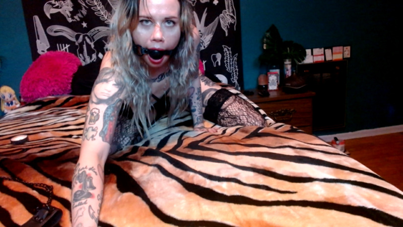 Performer Suzi_Cheeks Photo 1