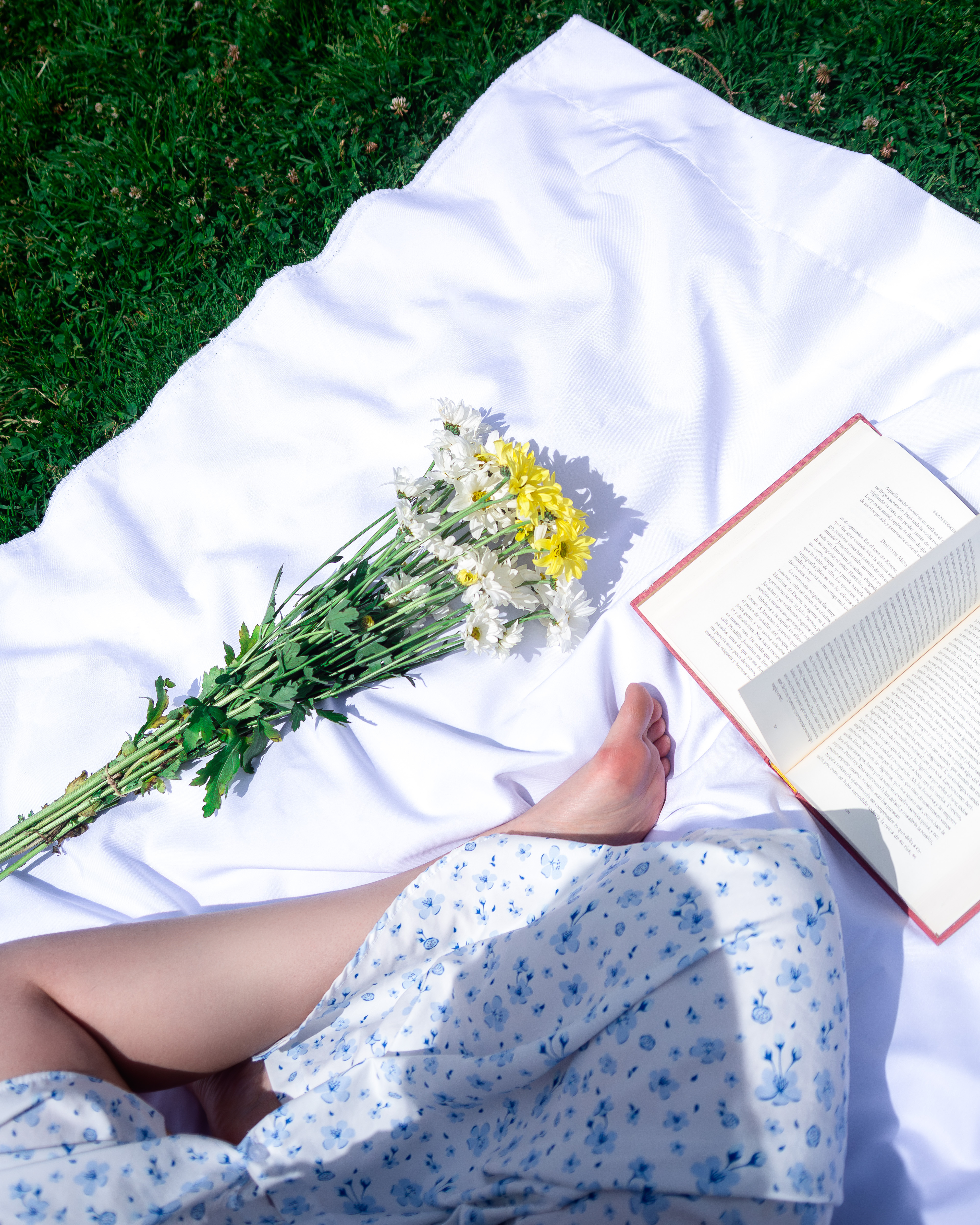 Intérprete Sakurakozlov Foto 5