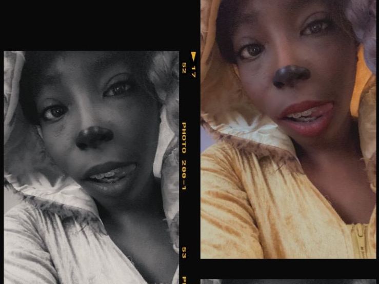 Profilbilde av Kitty_KaBoodle webkamera modell