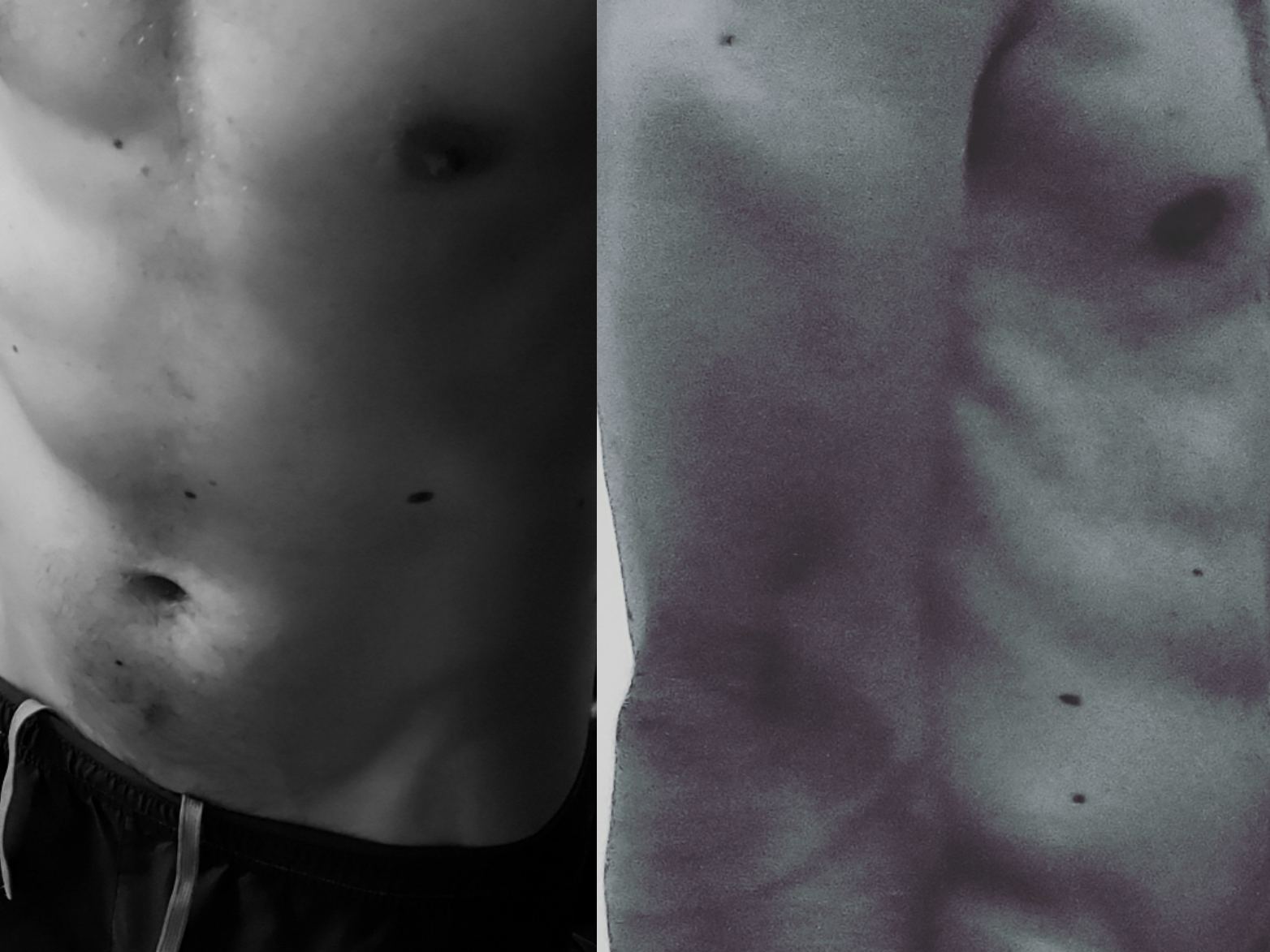 JesseVegass cam model profile picture 