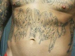 RockoRimms cam model profile picture 