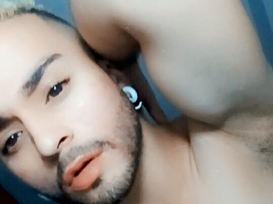 Styven_Fox cam model profile picture 