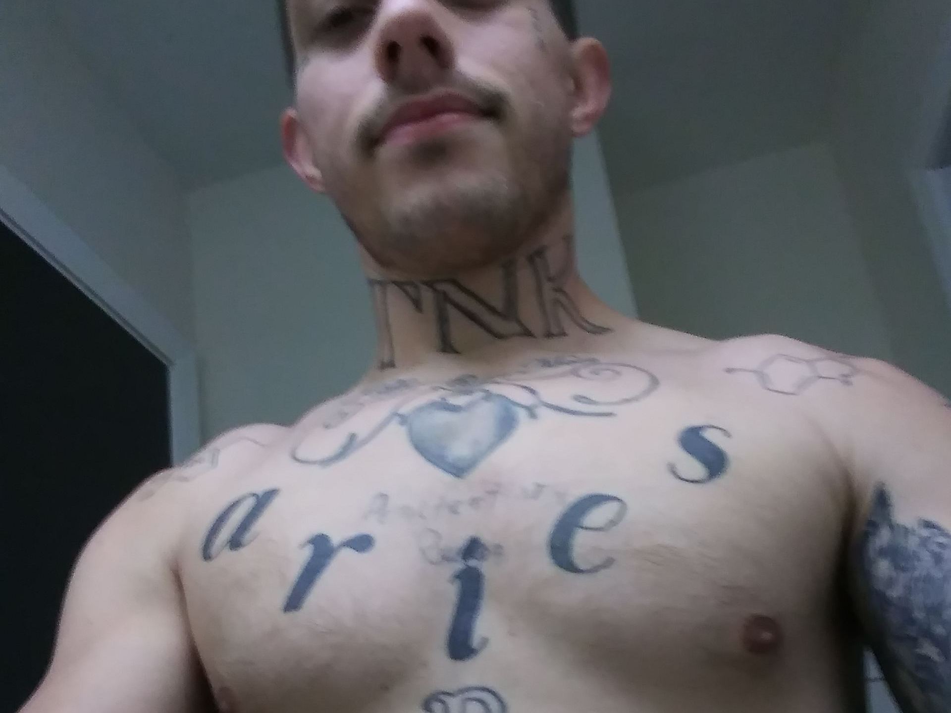 MellowMozzy2020 immagine del profilo del modello di cam