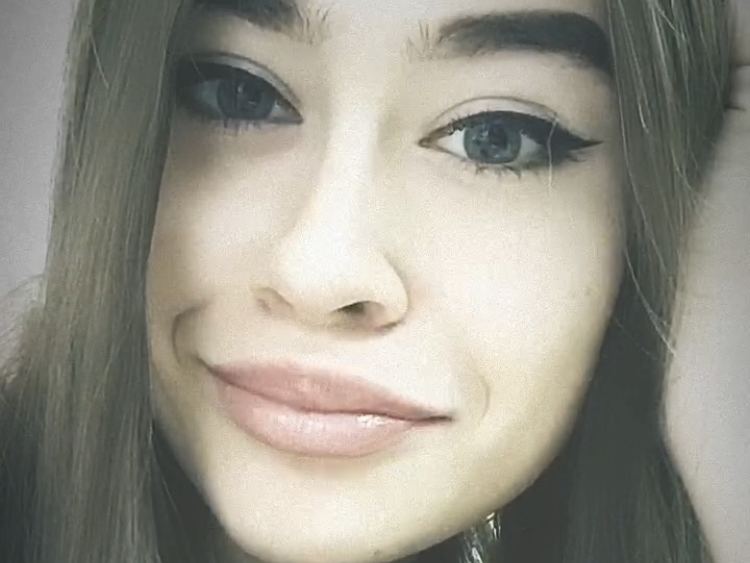 Emmisa immagine del profilo del modello di cam
