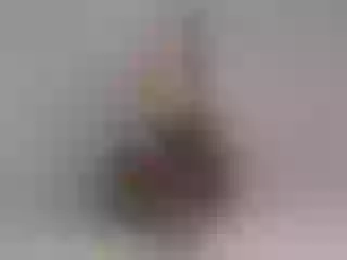 YamiraKim Profilbild des Cam-Modells