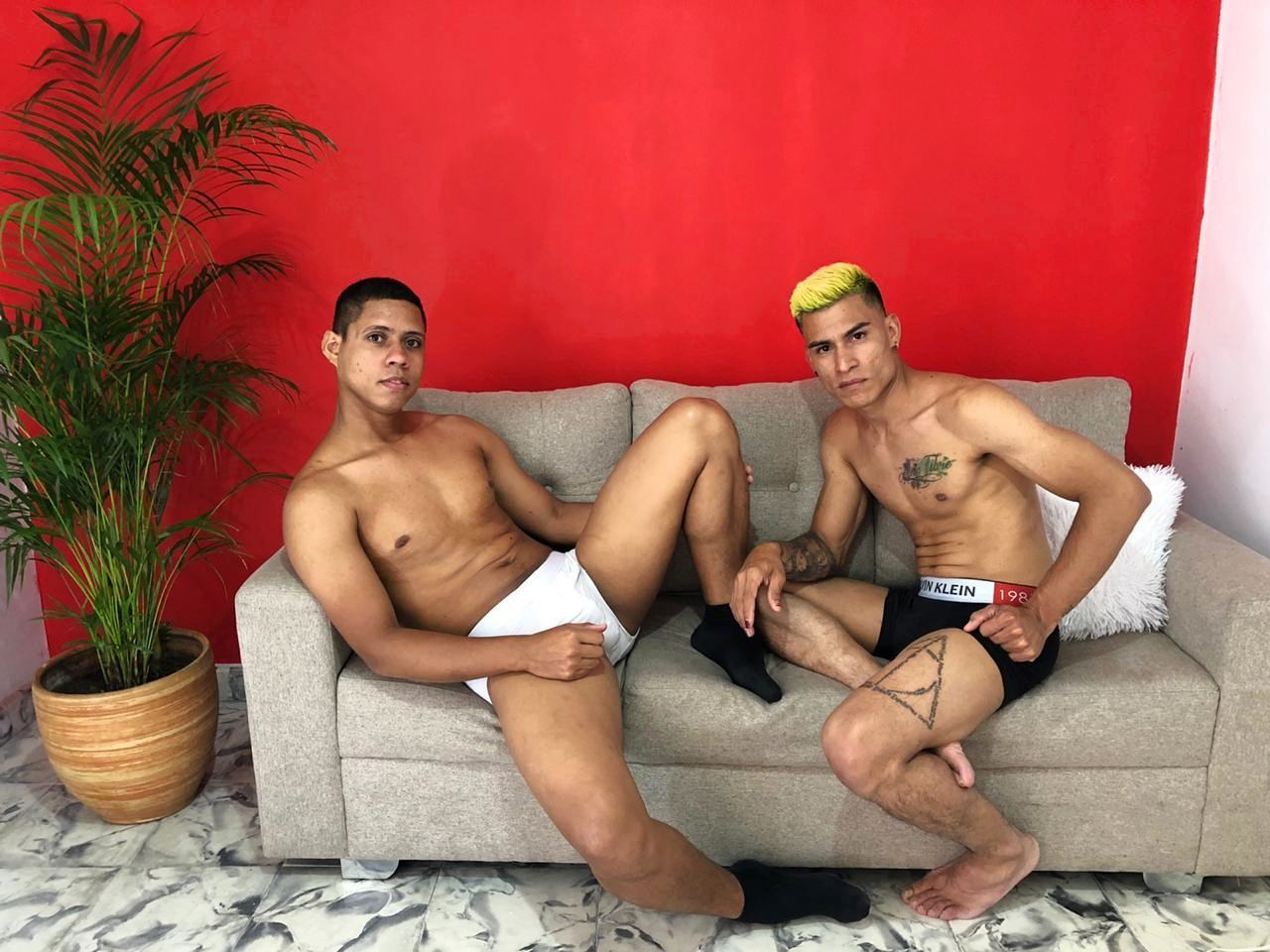 Image de profil du modèle de webcam Damian_And_Lestrange