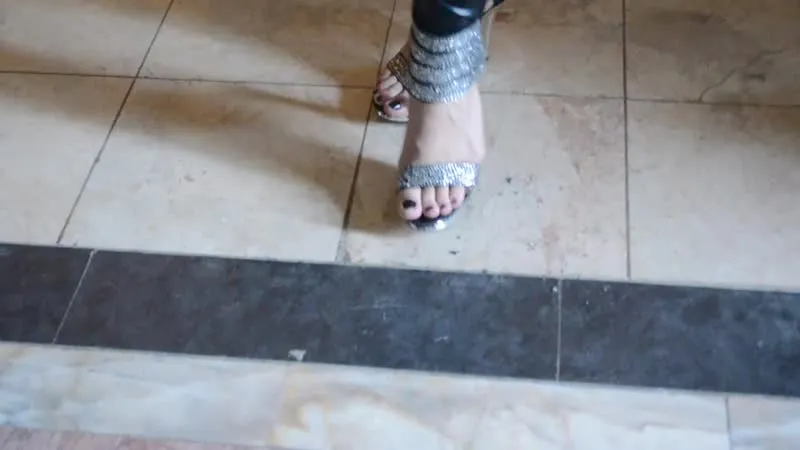 Interprète SoftAdelle Vidéo 1