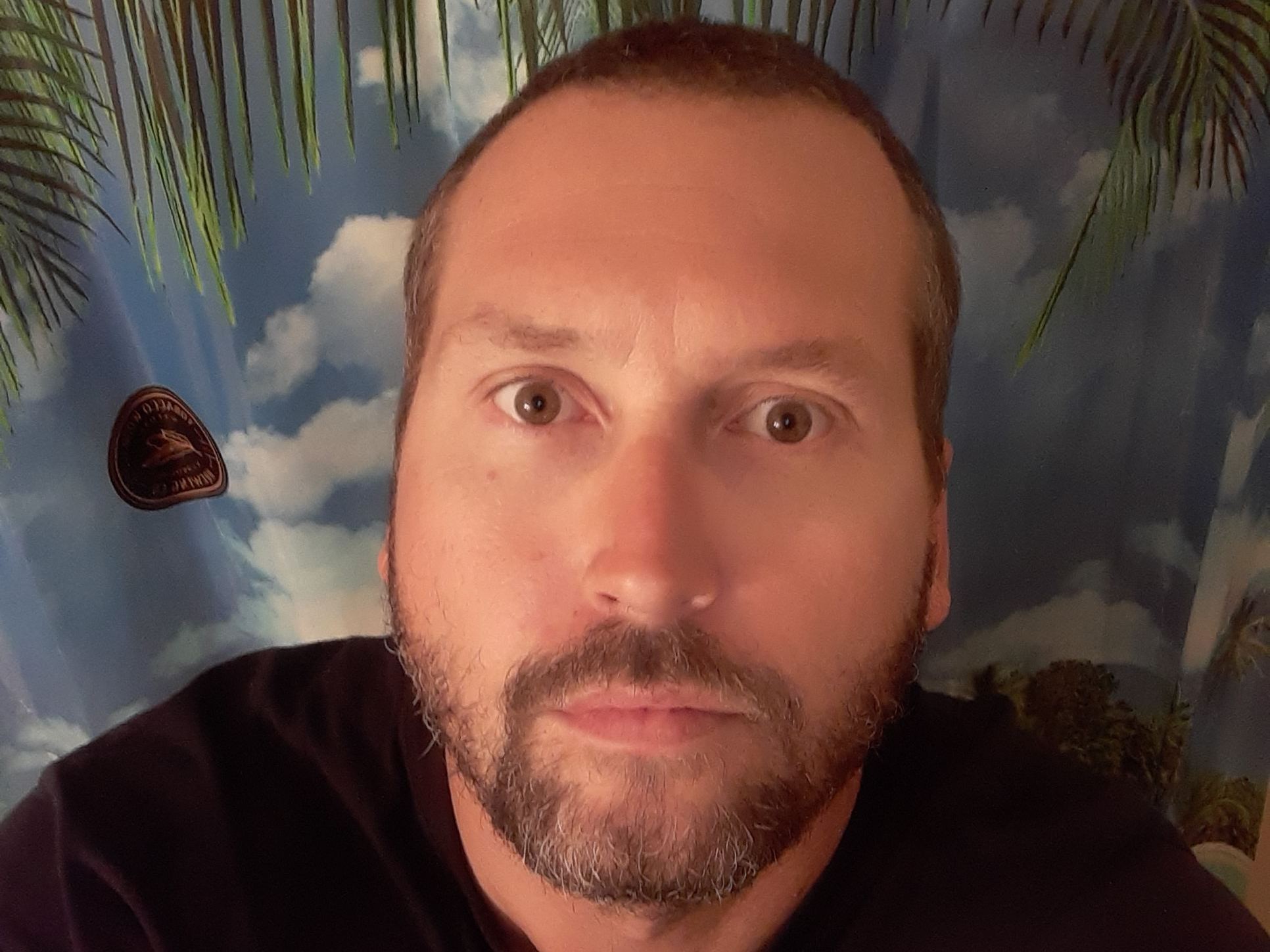 Image de profil du modèle de webcam SamsonSwells