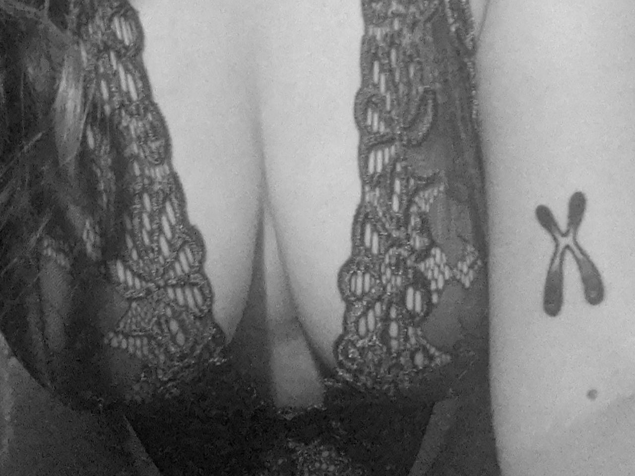 Bella_Rose_x Profilbild des Cam-Modells 
