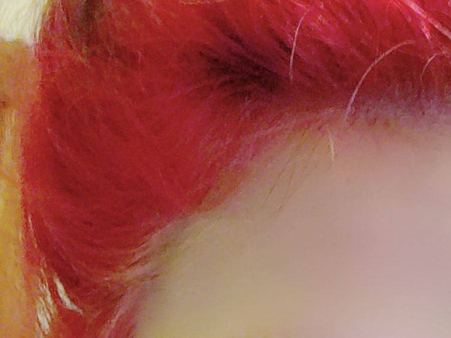 Image de profil du modèle de webcam Toolzc