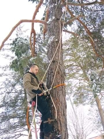 Utøver DenverDubios Bilde 3