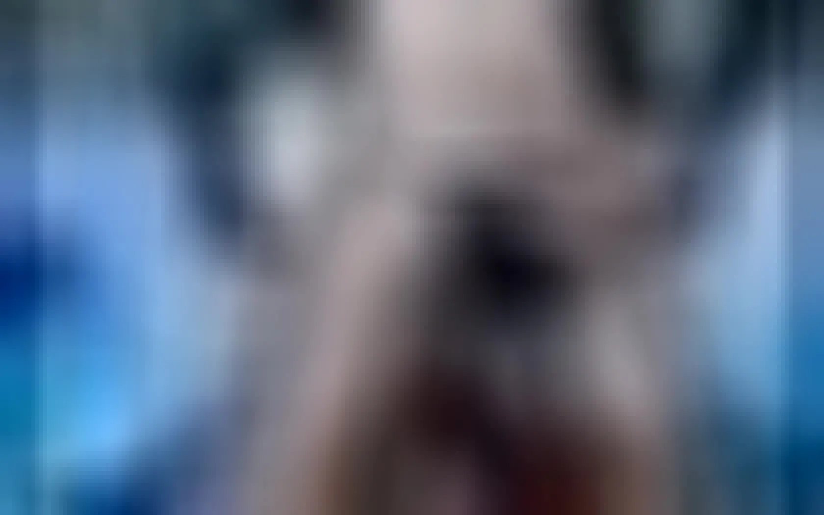 Interprete LopezLeila Video 1