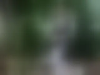 EvelyneFlirtyMilf