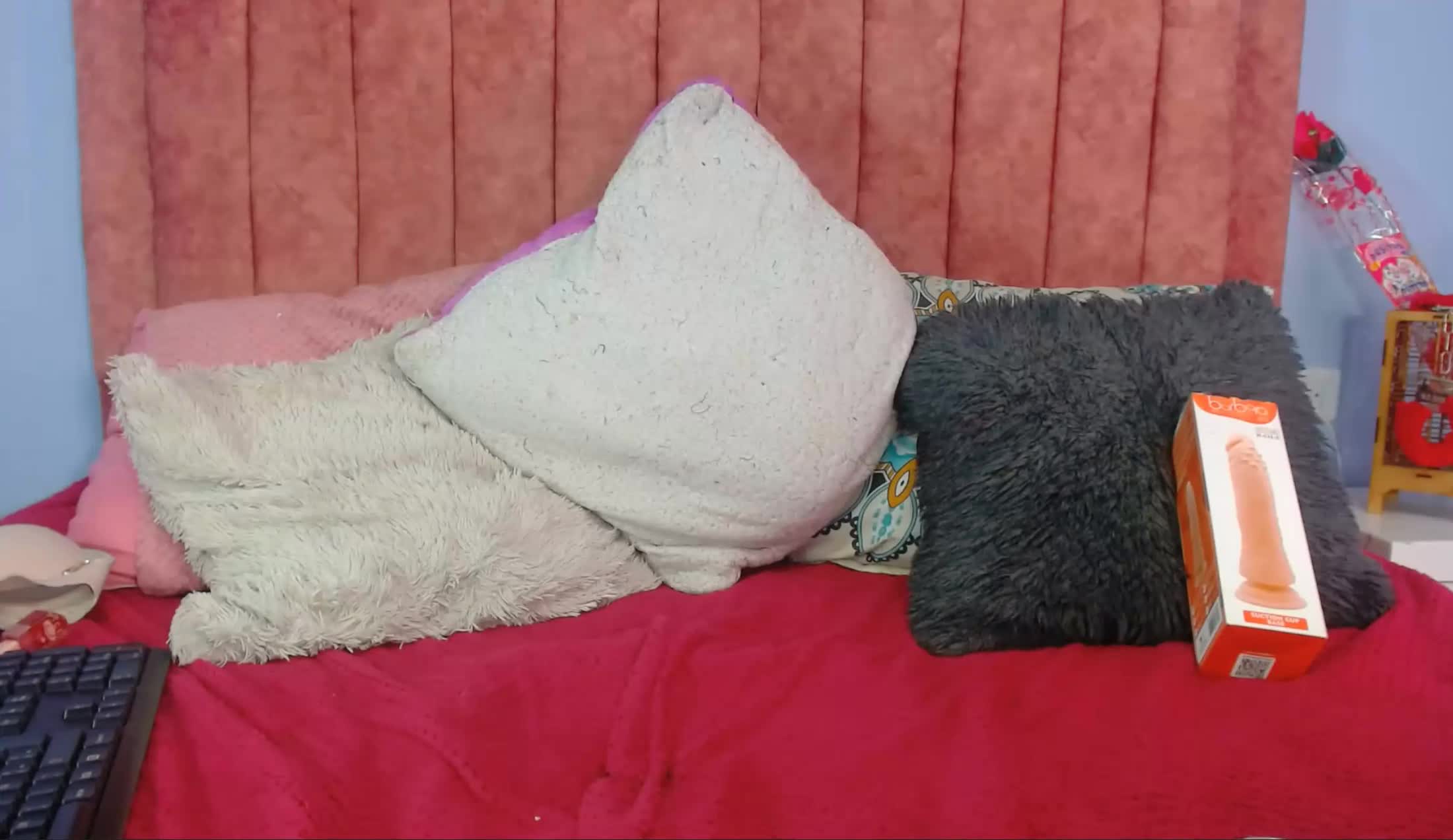 Artist springfoxxy Video 2