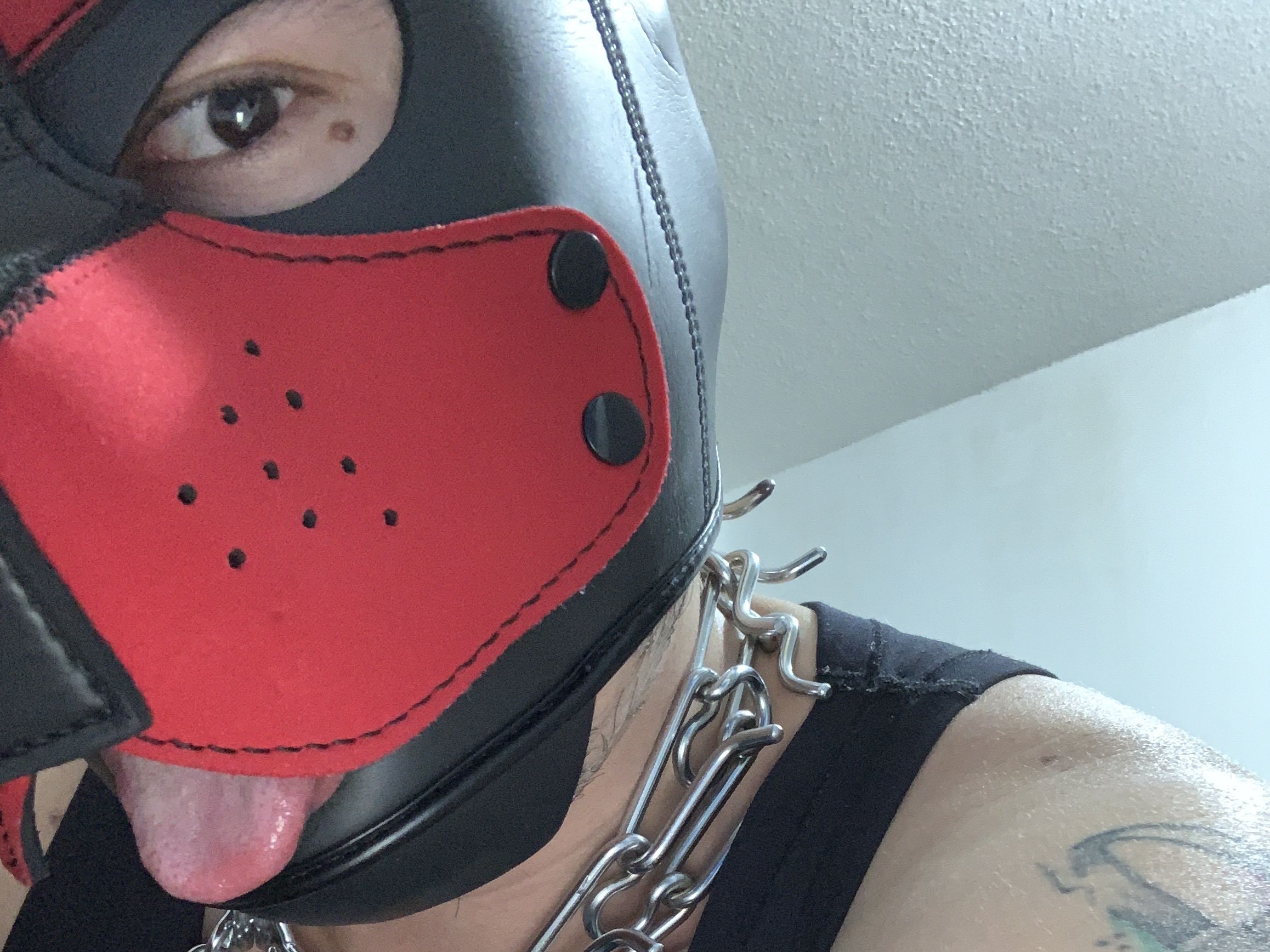 Foto de perfil de modelo de webcam de logan_pup 