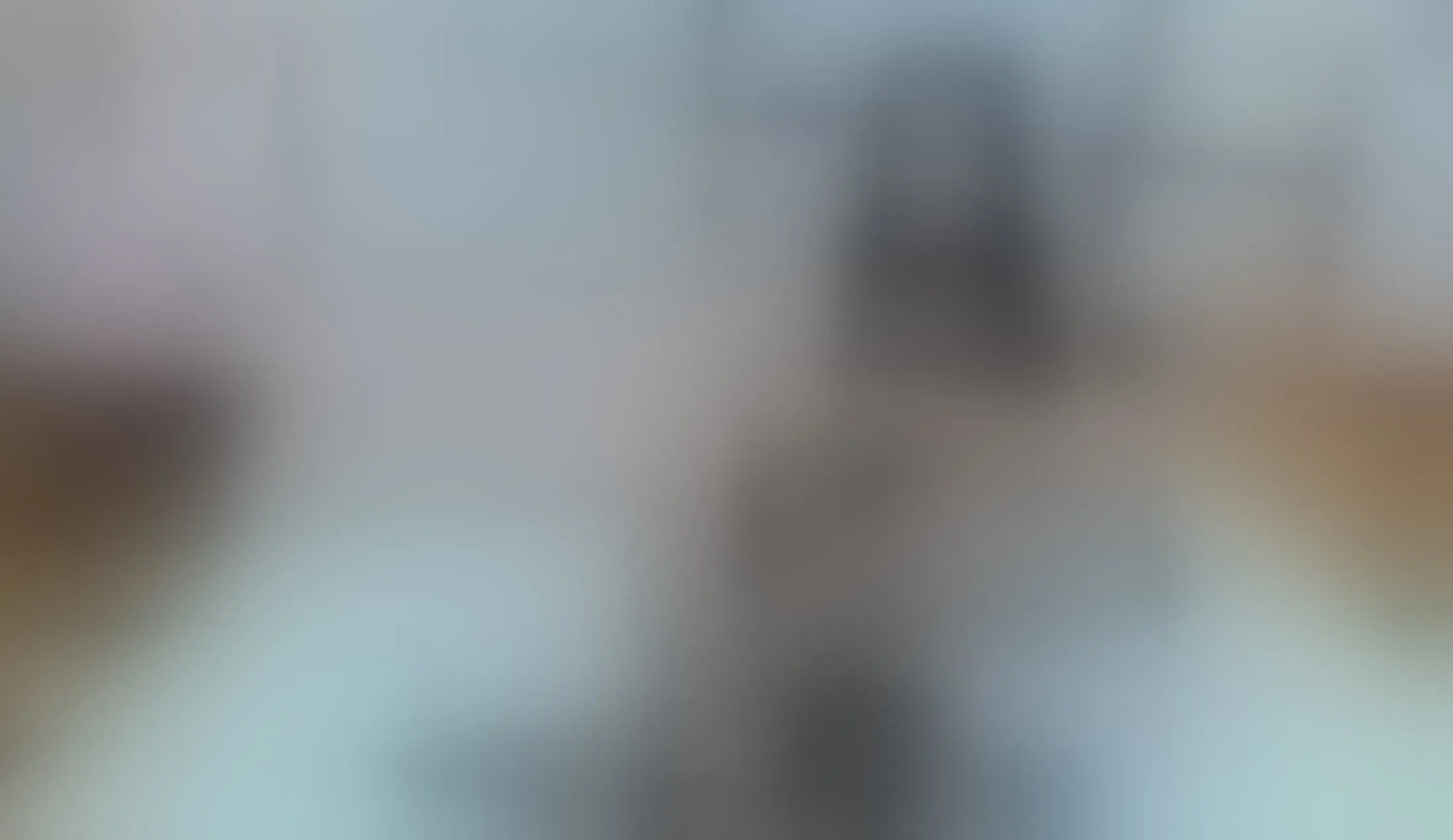 Intérprete ValeryHanze Video 2
