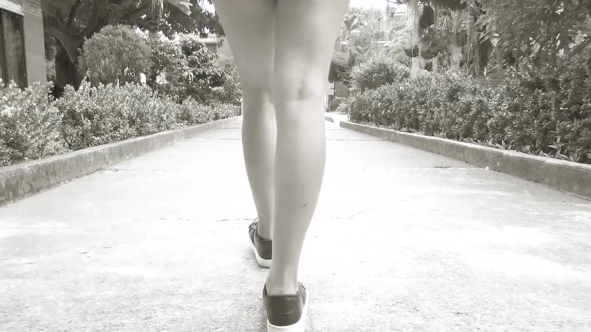 Interprete KarolBrooklyns Video 1